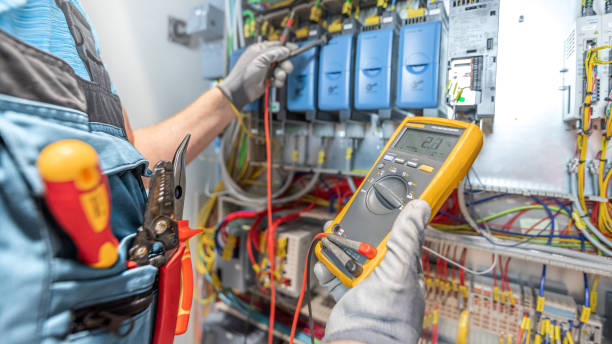 Best Electric Panel Repair  in Cottage Grove, MN